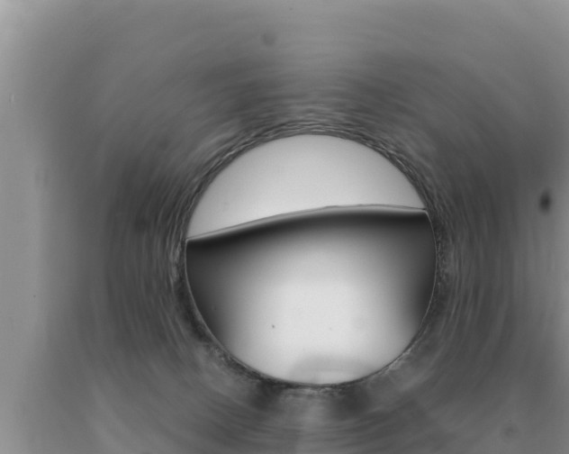 X0000091080082200708061055