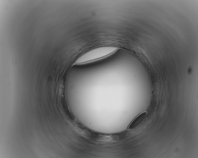 X0000091080083200708061055