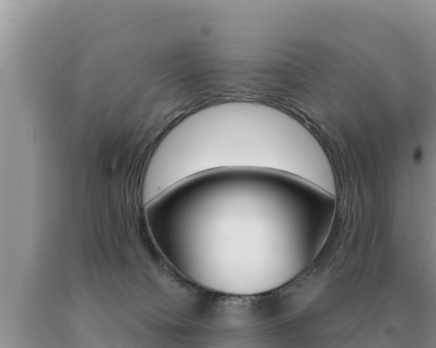 X0000091080084200708061055