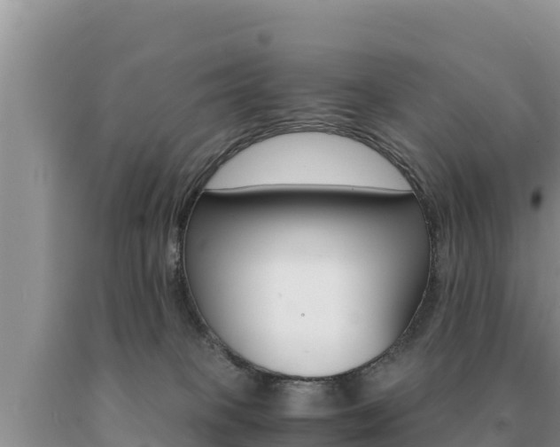 X0000091080085200708061055