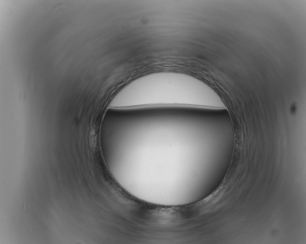 X0000091080086200708061055