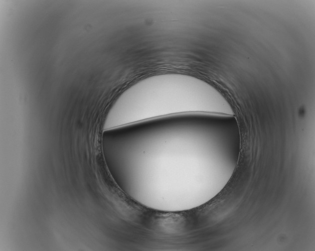 X0000091080087200708061055