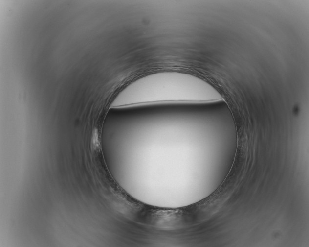 X0000091080089200708061055