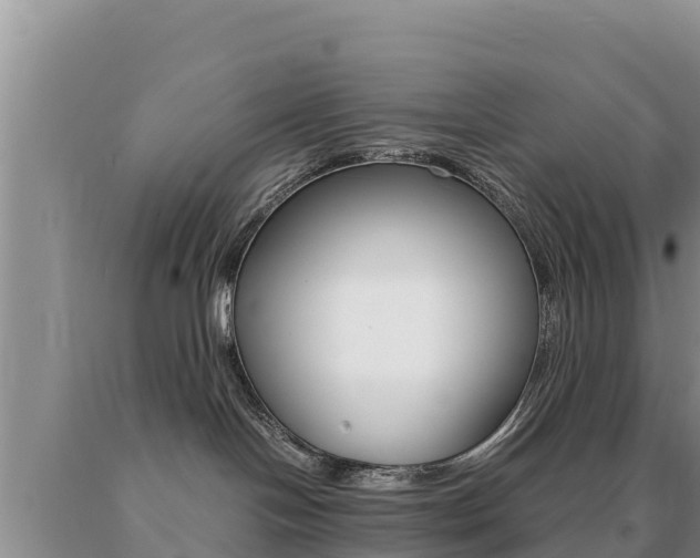 X0000091080094200708061055