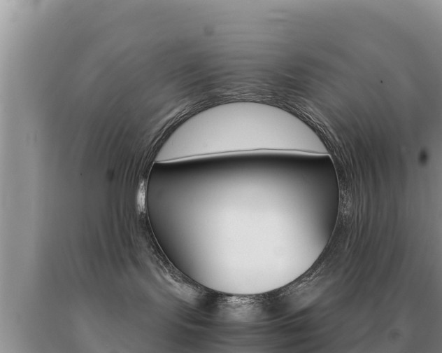 X0000091080095200708061055