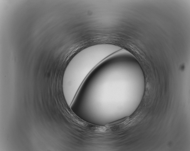 X0000091080096200708061055
