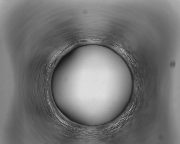 X0000091080097200708061055