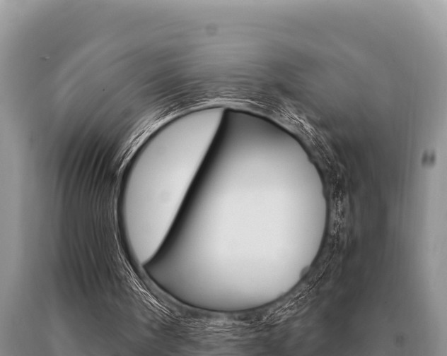 X0000091080098200708061055
