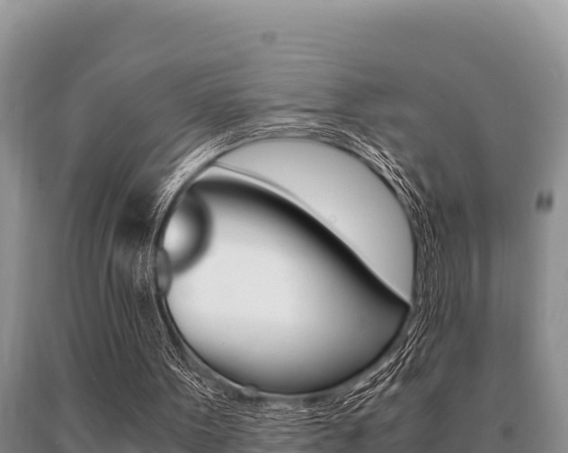 X0000091080099200708061055