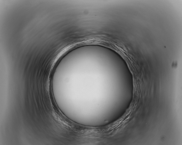 X0000091080100200708061055