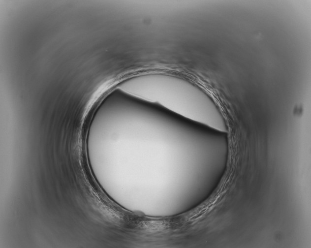 X0000091080102200708061055