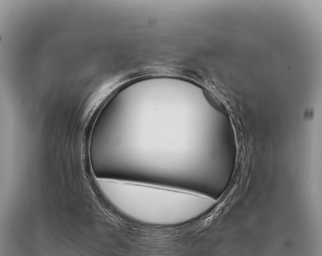 X0000091080103200708061055