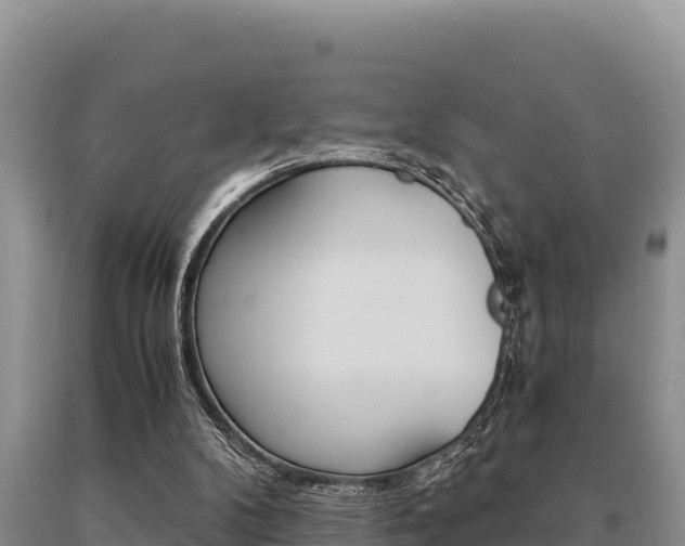 X0000091080104200708061054