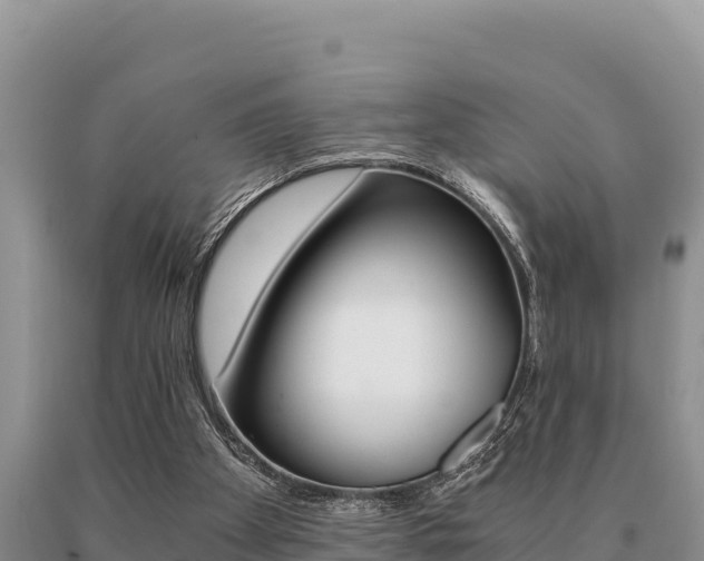 X0000091080105200708061054