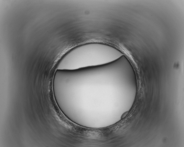 X0000091080106200708061054