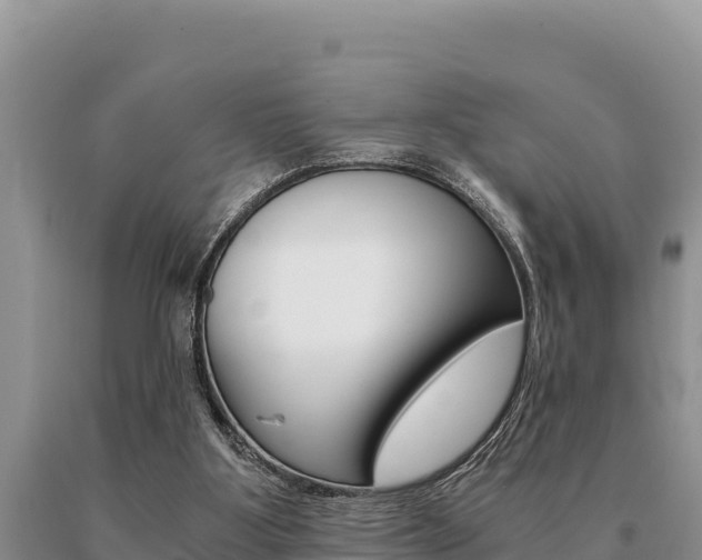 X0000091080107200708061054