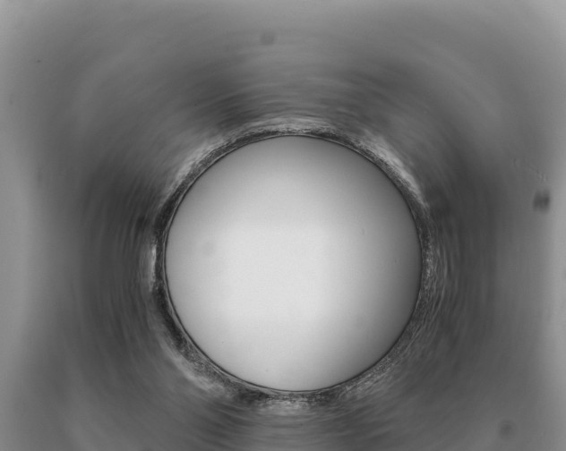 X0000091080110200708061054