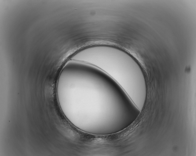 X0000091080111200708061054
