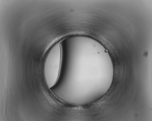 X0000091080112200708061054