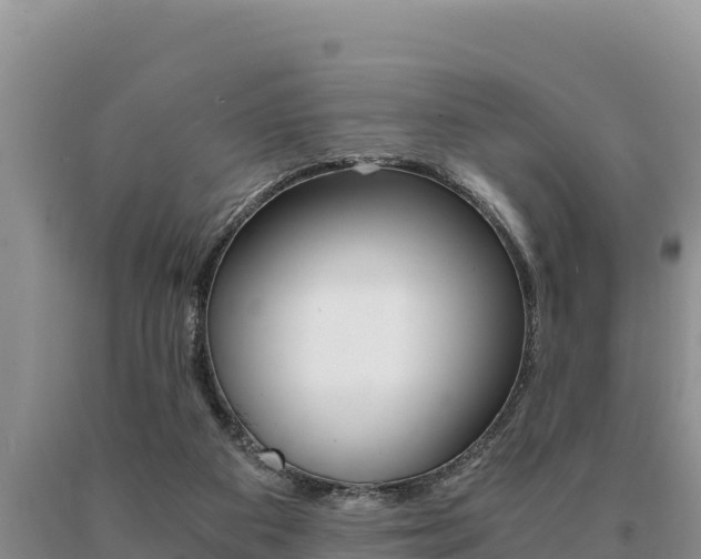 X0000091080113200708061054