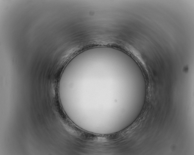 X0000091080114200708061054