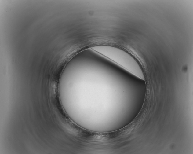 X0000091080117200708061054