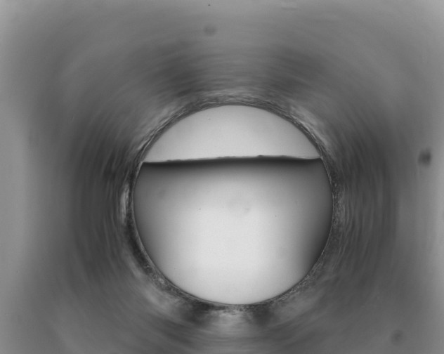X0000091080118200708061054