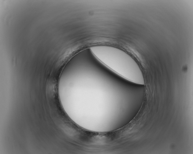 X0000091080119200708061054