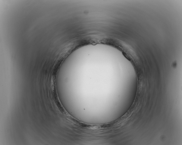 X0000091080121200708061054