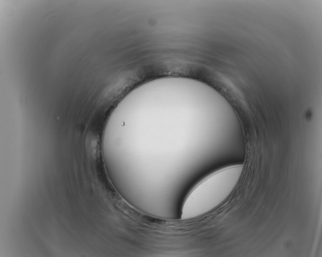 X0000091080123200708061054