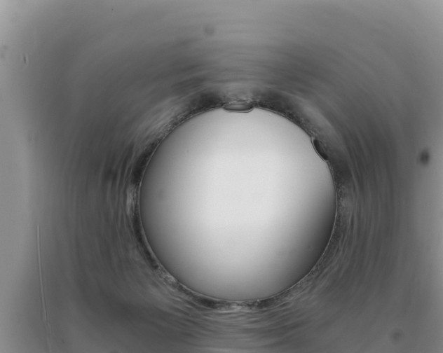 X0000091080125200708061054