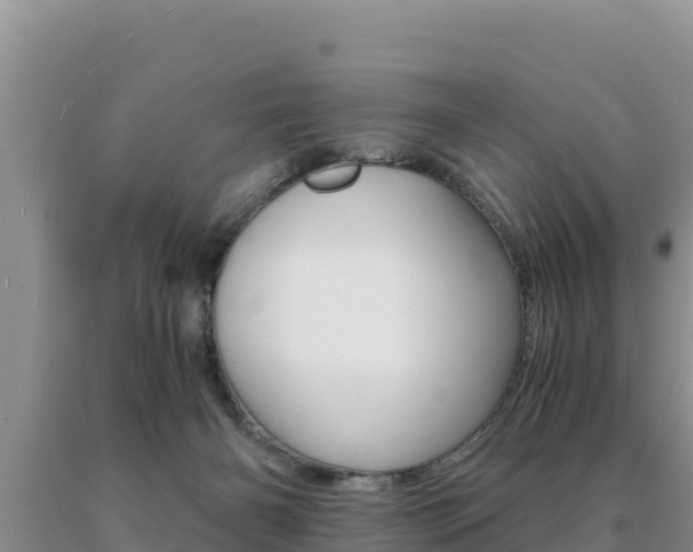X0000091080126200708061054
