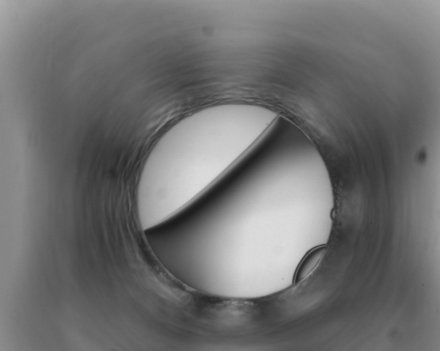 X0000091080128200708061054