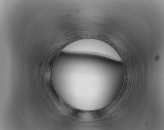 X0000091080129200708061054