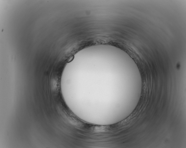 X0000091080134200708061054
