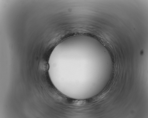 X0000091080135200708061054