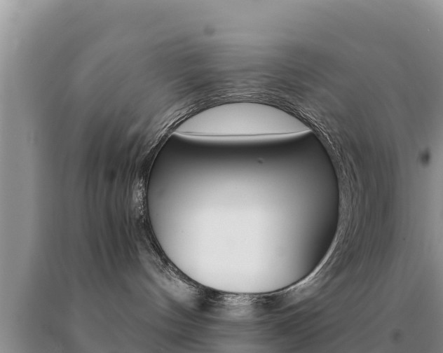 X0000091080144200708061054