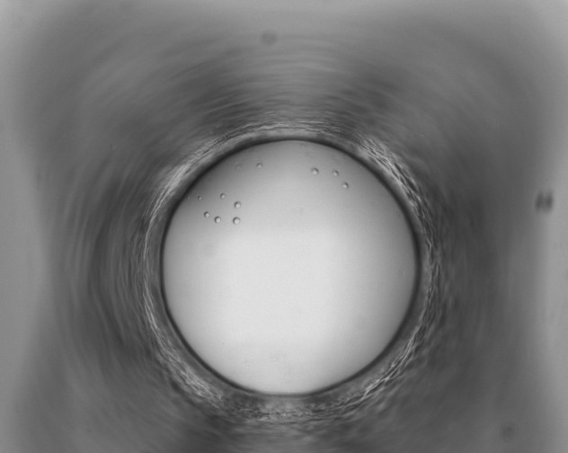 X0000091080145200708061053
