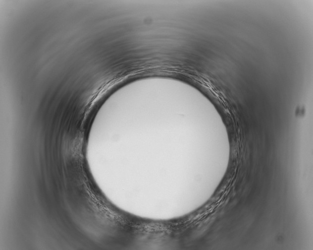 X0000091080146200708061053