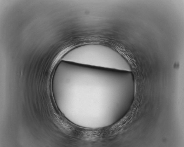 X0000091080147200708061053