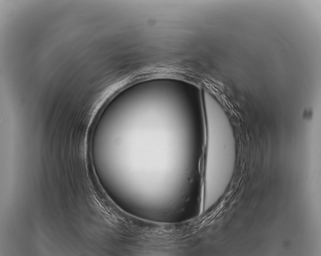 X0000091080148200708061053