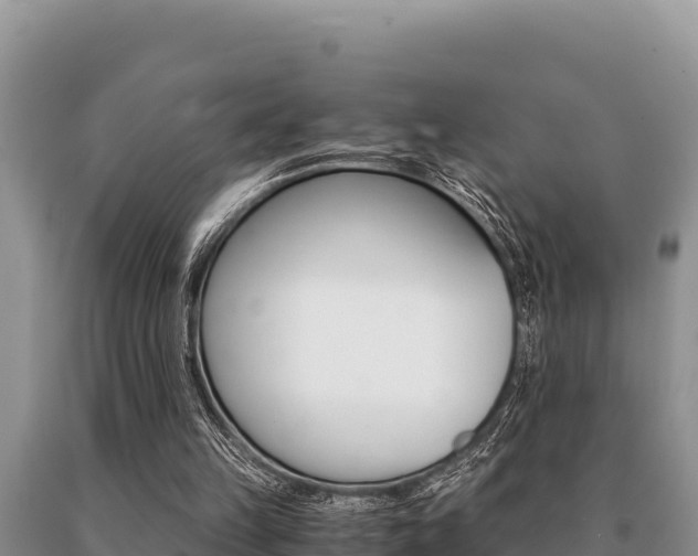 X0000091080149200708061053