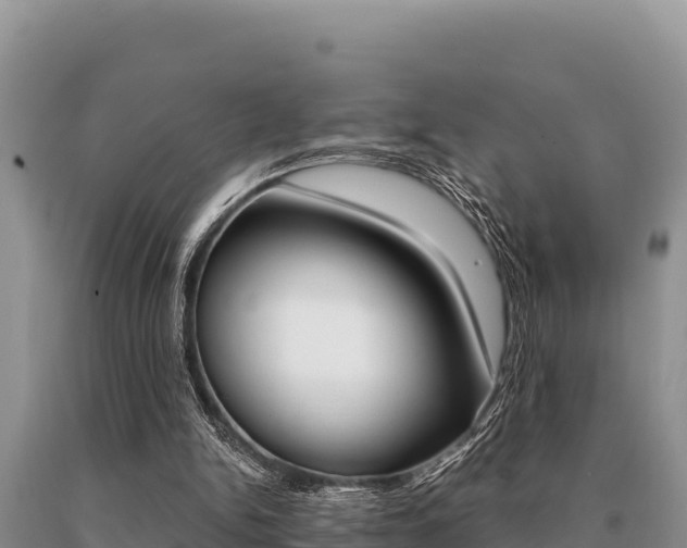 X0000091080150200708061053