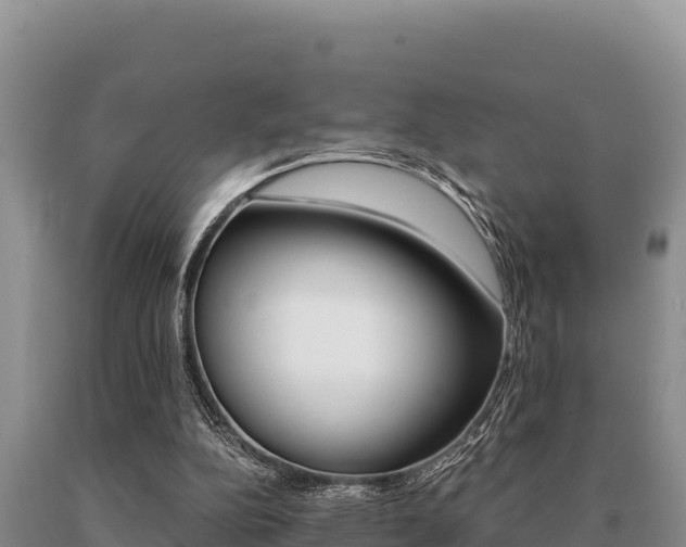 X0000091080152200708061053