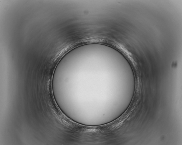 X0000091080153200708061053