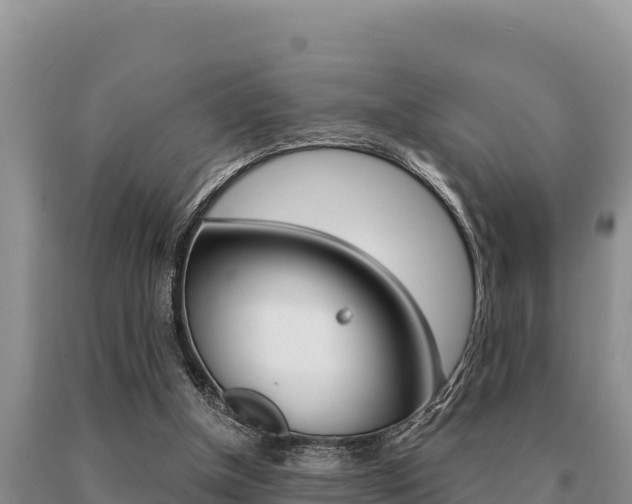 X0000091080154200708061053