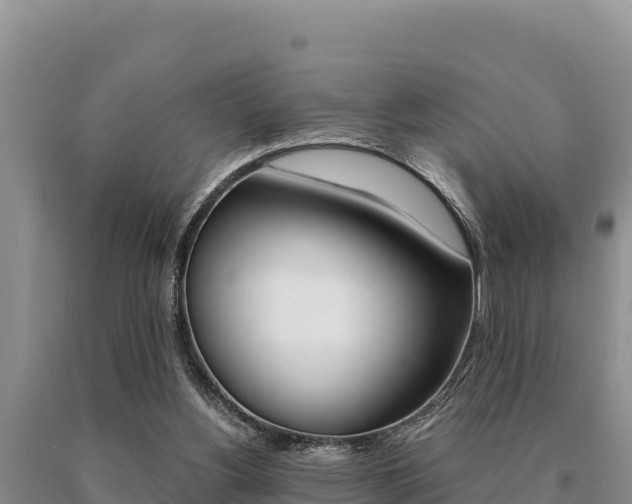 X0000091080156200708061053