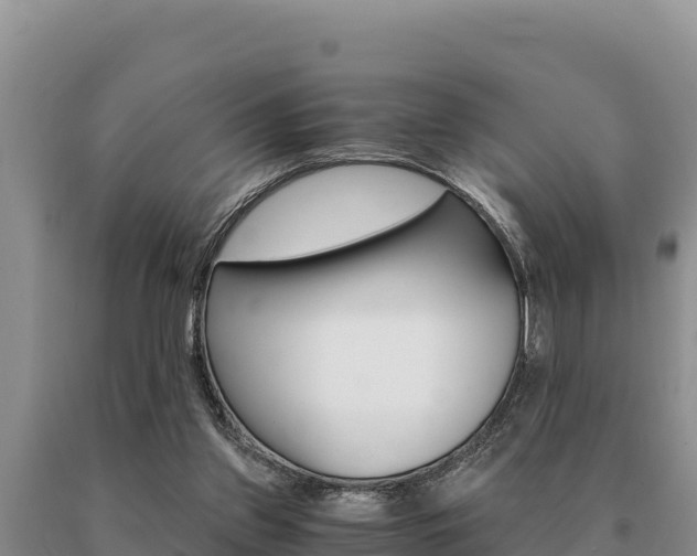X0000091080157200708061053