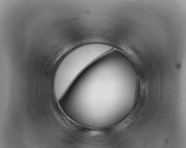 X0000091080158200708061053