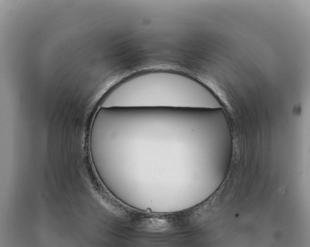 X0000091080159200708061053
